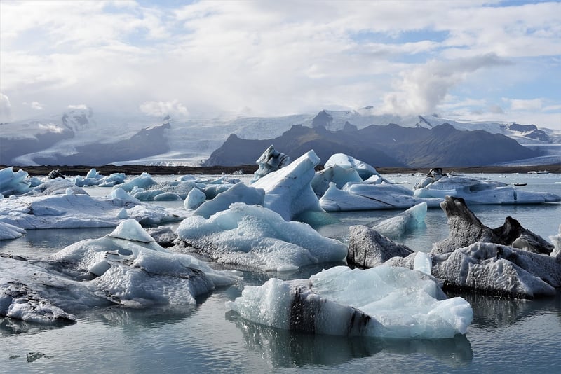 Environmental Activist Image